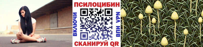 Псилоцибиновые грибы мицелий Купить закладки Бор