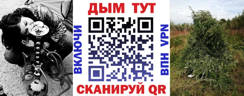 Купить закладки  Бор  Конопля Amnesia 